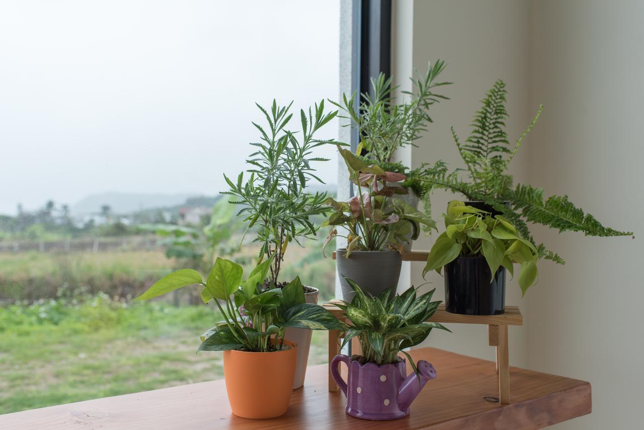 Luka Luna B&B Taitung Экстерьер фото